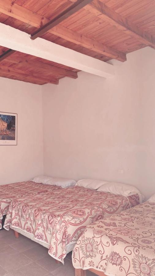 Catorce Capital A Una Hora De Real De Catorce Estacion Catorce Zewnętrze zdjęcie